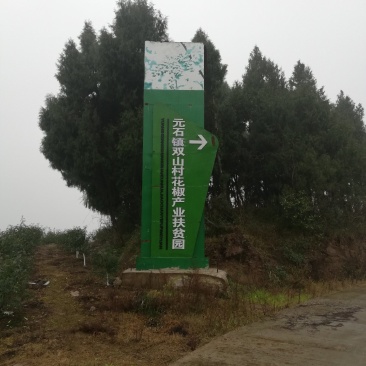 九叶青花椒基地销售，品质保证