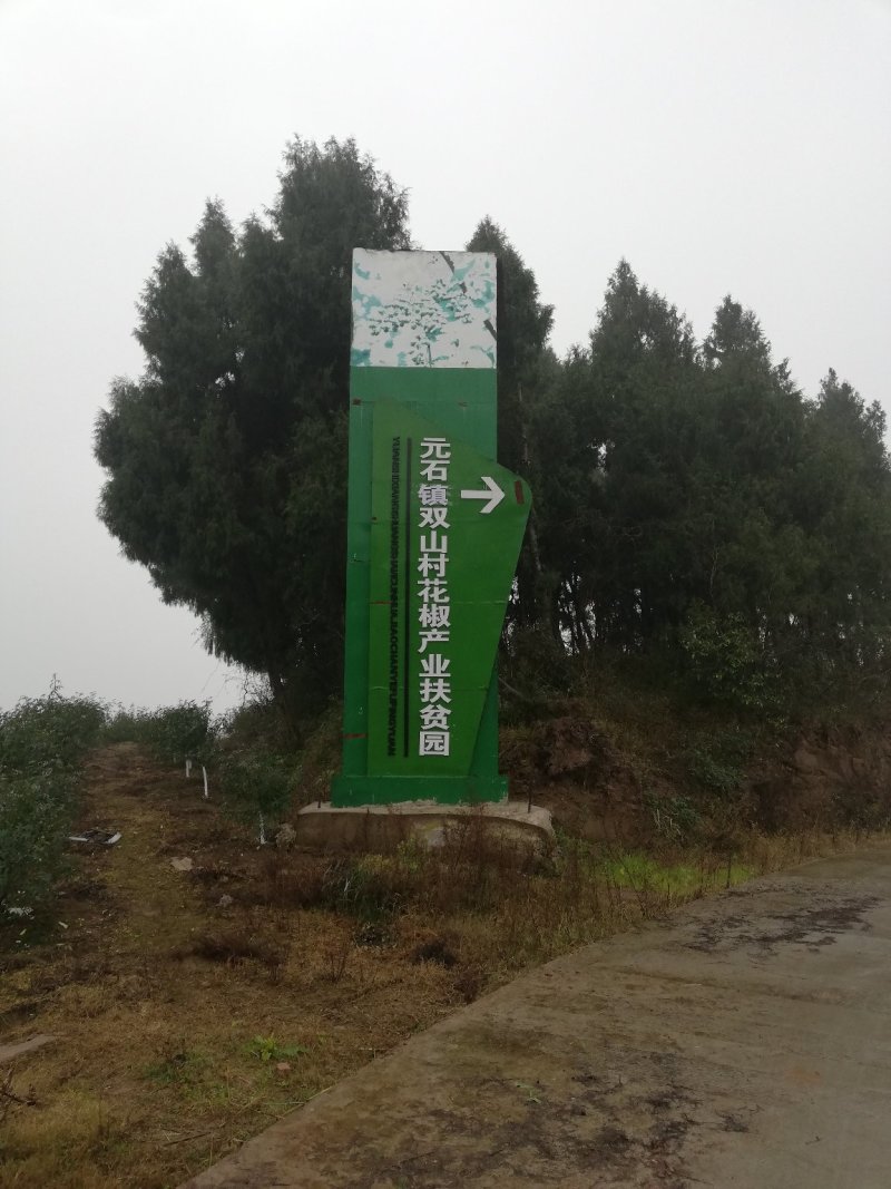 九叶青花椒基地销售，品质保证