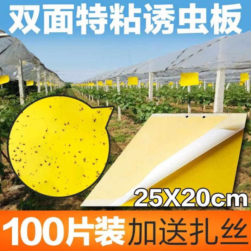 包邮双面特黏粘虫板、诱虫板、杀虫灯进口胶水覆纸加厚升级版