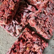 蛇饲料大鸡仔