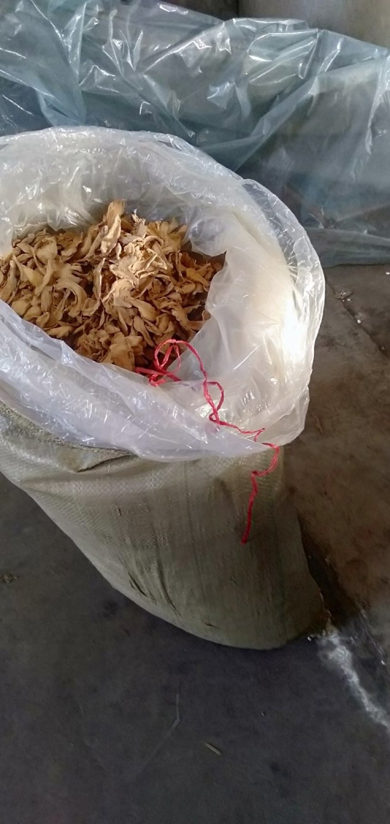 山东柴姜片，水洗片，统片，姜沫