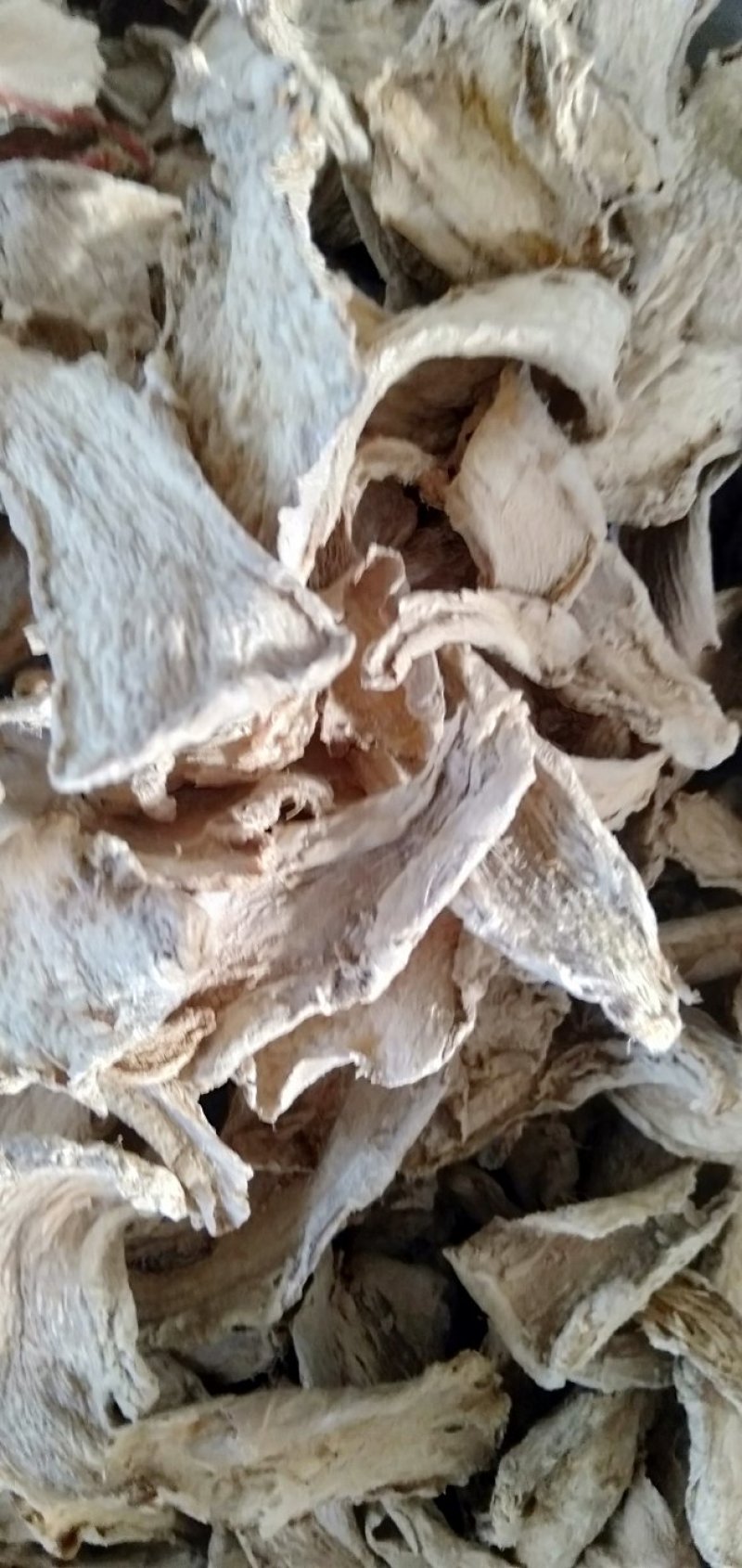 山东柴姜片，水洗片，统片，姜沫