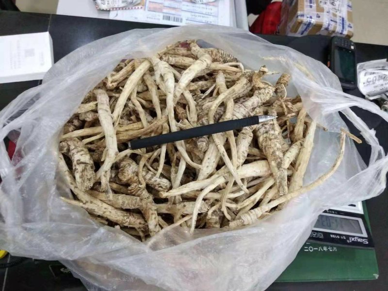 贵州铜仁野生无硫生鲜南沙参干品泡酒煲汤滋补价廉物美