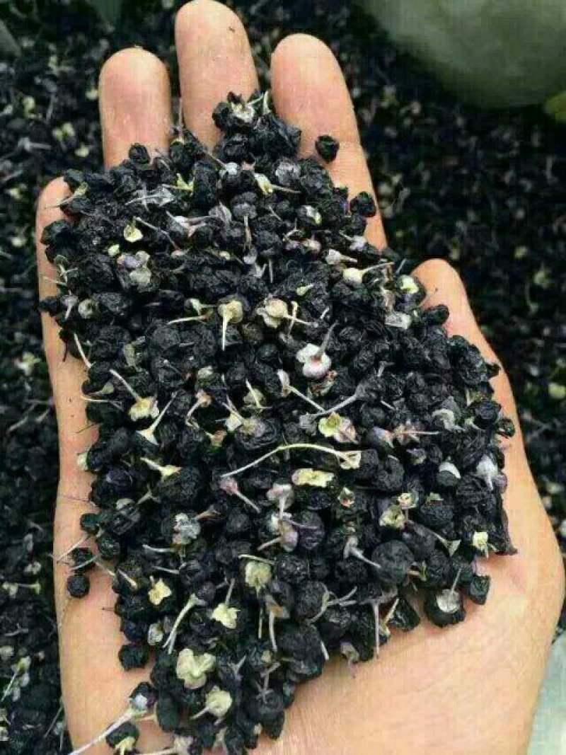 有需要枸杞黑枸杞蜂蜜的联系我哦了2斤包邮