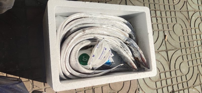 海鲜礼包