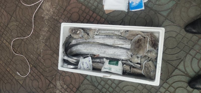 海鲜礼包