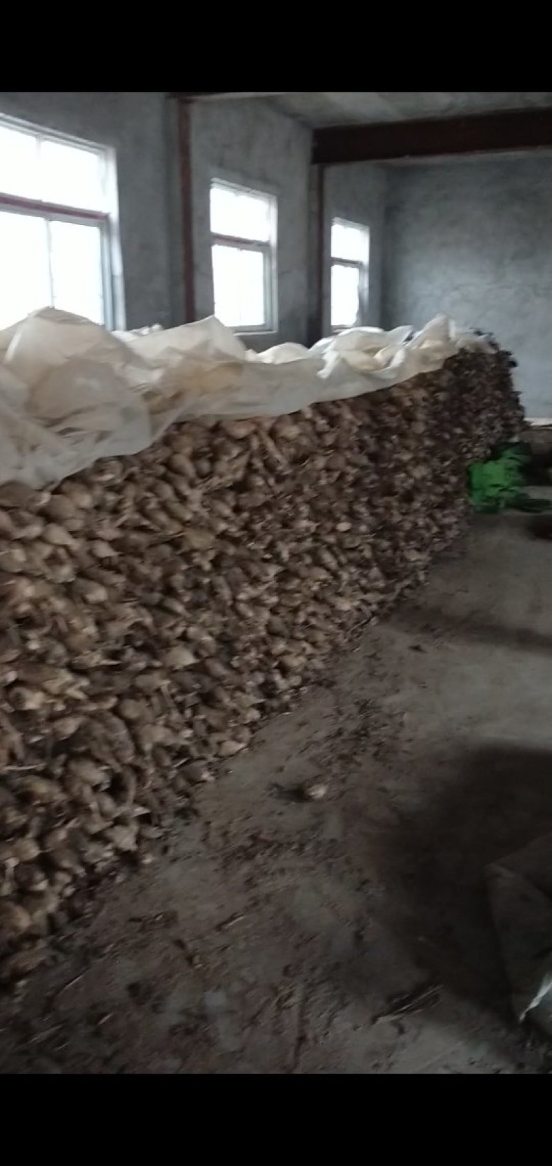 郑州中牟百亩莲菜基地