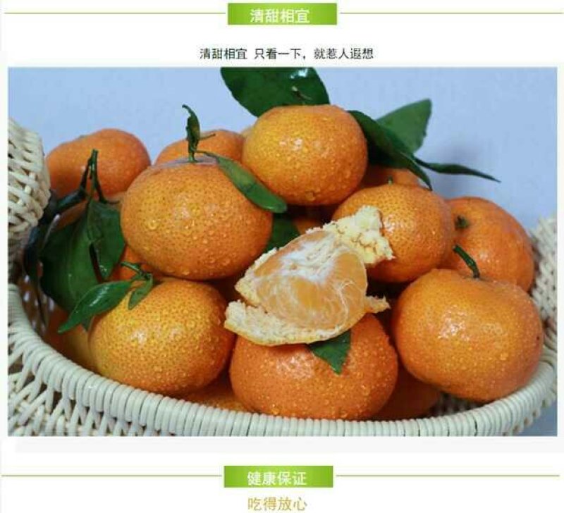 广西正宗沙糖桔新鲜砂糖桔当季水果沙糖橘子现