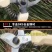 树枝剪