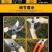 树枝剪