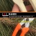 树枝剪
