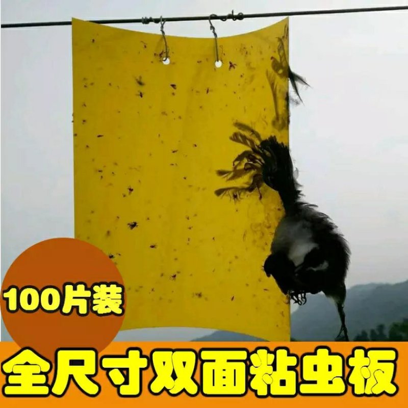 包邮双面特黏粘虫板、诱虫板、杀虫灯进口胶水覆纸加厚升级版