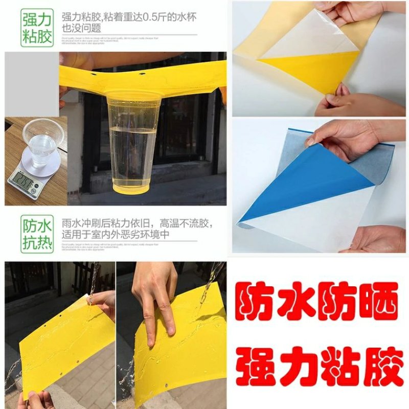 包邮双面特黏粘虫板、诱虫板、杀虫灯进口胶水覆纸加厚升级版