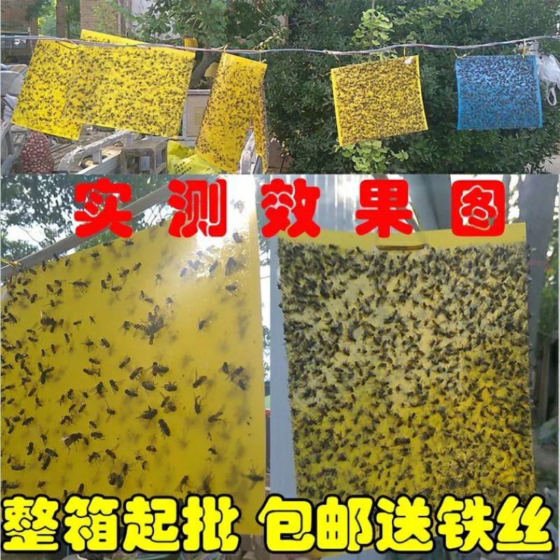包邮双面特黏粘虫板、诱虫板、杀虫灯进口胶水覆纸加厚升级版