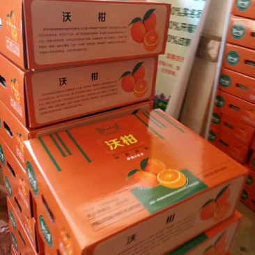 沃柑