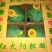 缅甸甜王8斤打底9成熟1茬