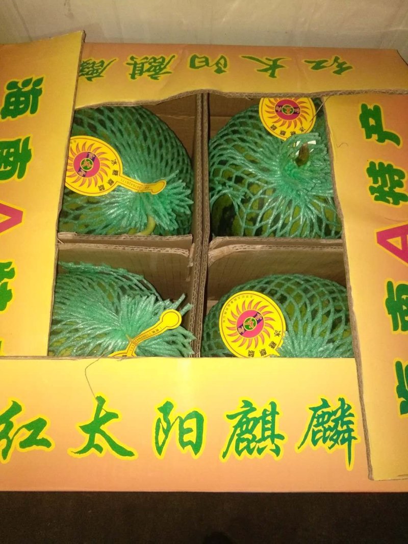 缅甸甜王8斤打底9成熟1茬