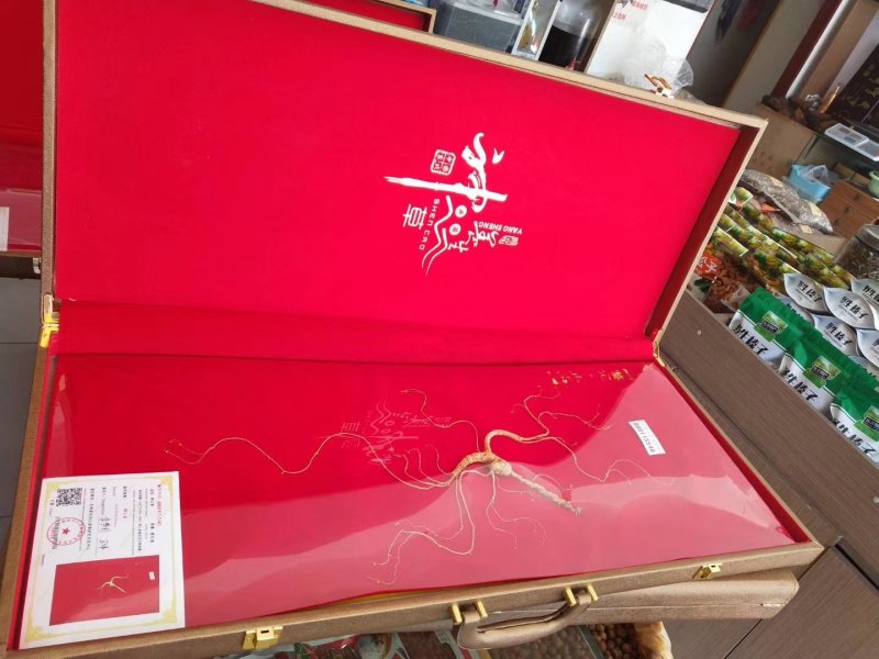 长白山林下参