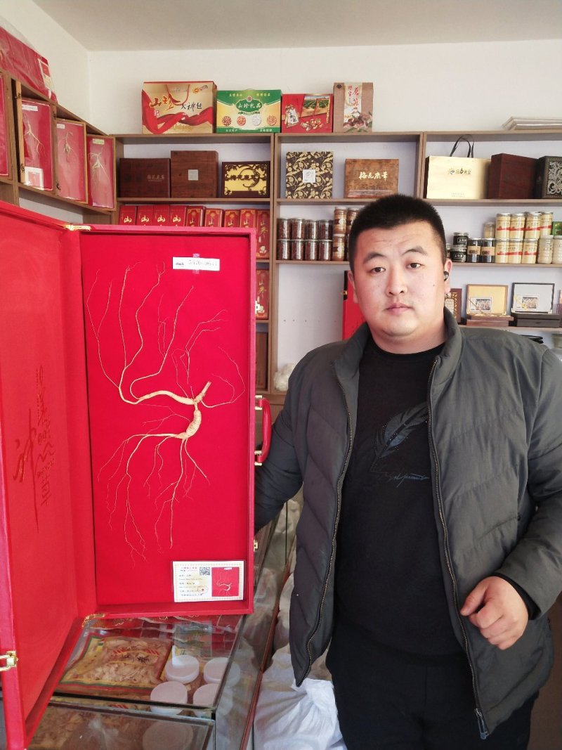 长白山林下参