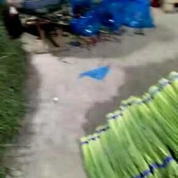 蒜苔