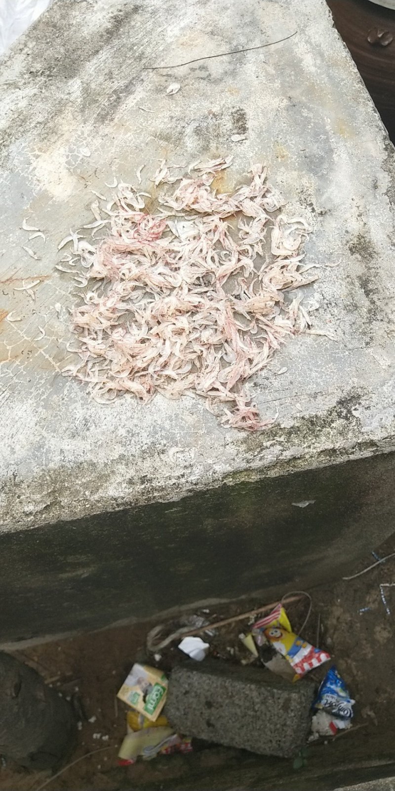 水产干货