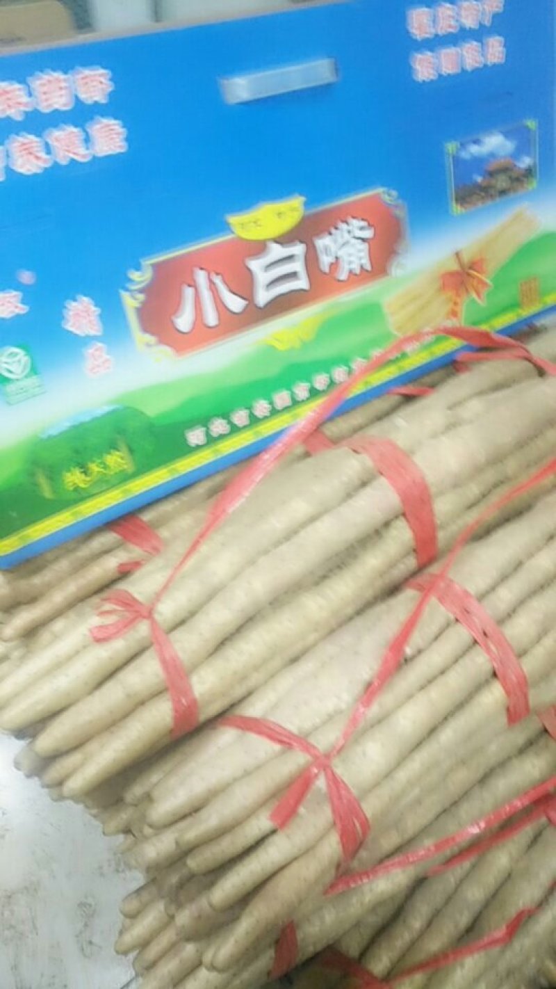 精品小白嘴山药长度70公分保证质量面甜