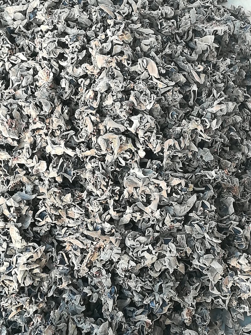 房县特产，椴木香菇，椴木木耳，豆油精。