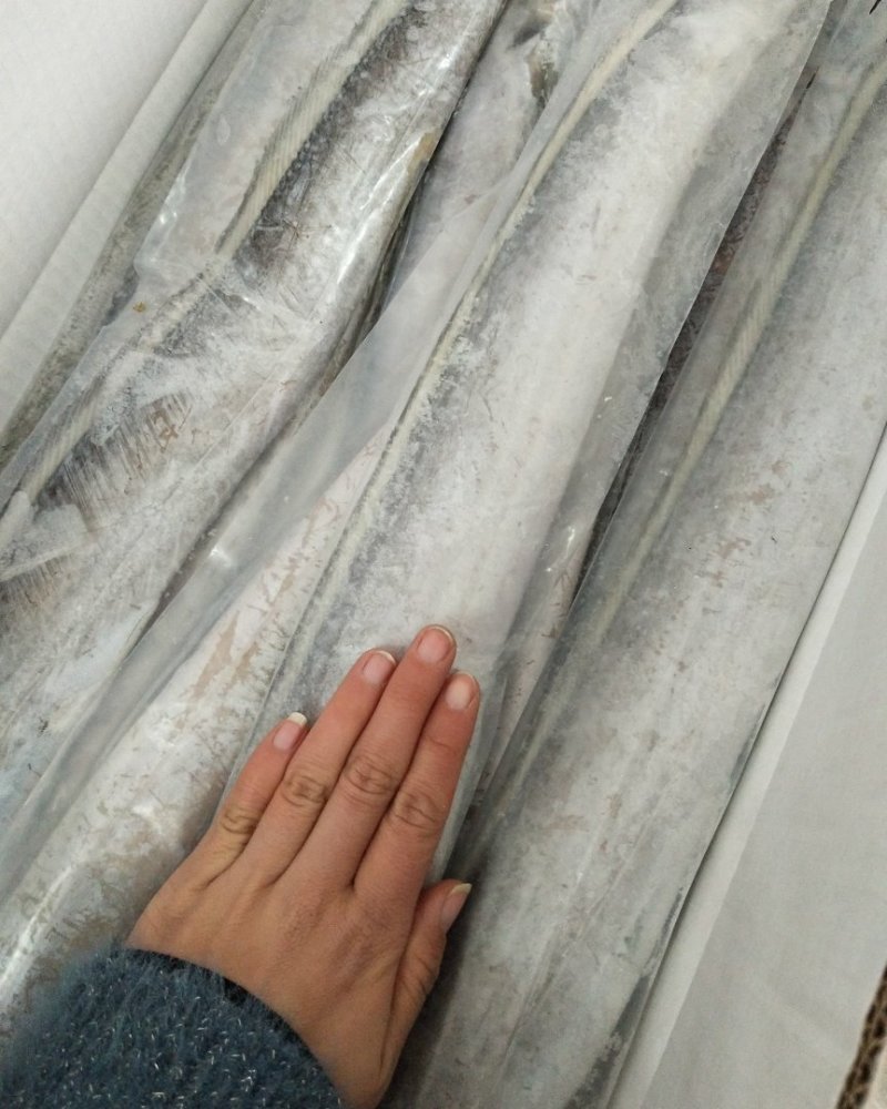 优质带鱼，质量保证价格优惠