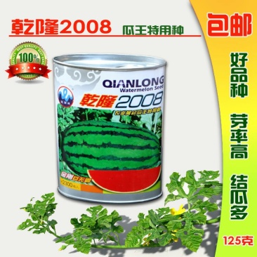 特大乾隆2008巨型西瓜种子大果高产原装100克