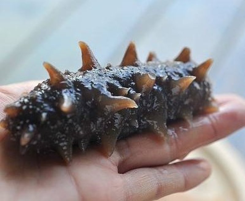 威海本地淡干海米
