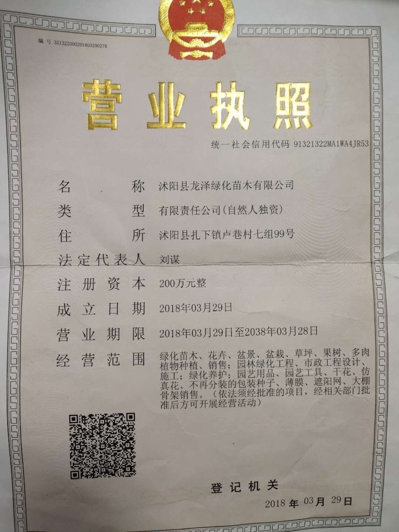 樱桃树苗可视频看货选货一亩田线上交易下单购买