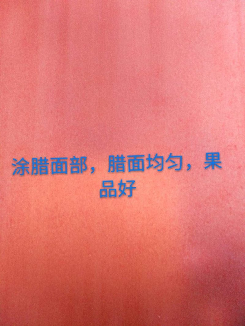 寒富士苹果袋，长宽195/165