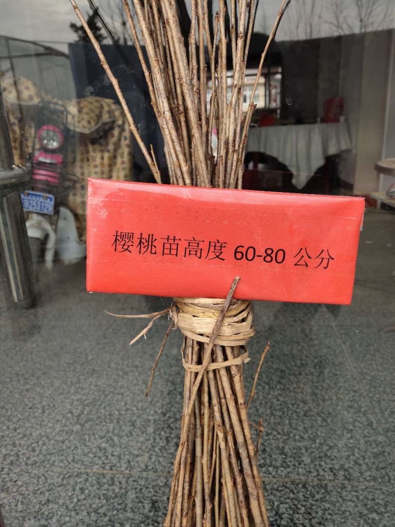 樱桃小苗可视频看货选货一亩田线上交易下单