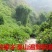 张家界野生葛粉