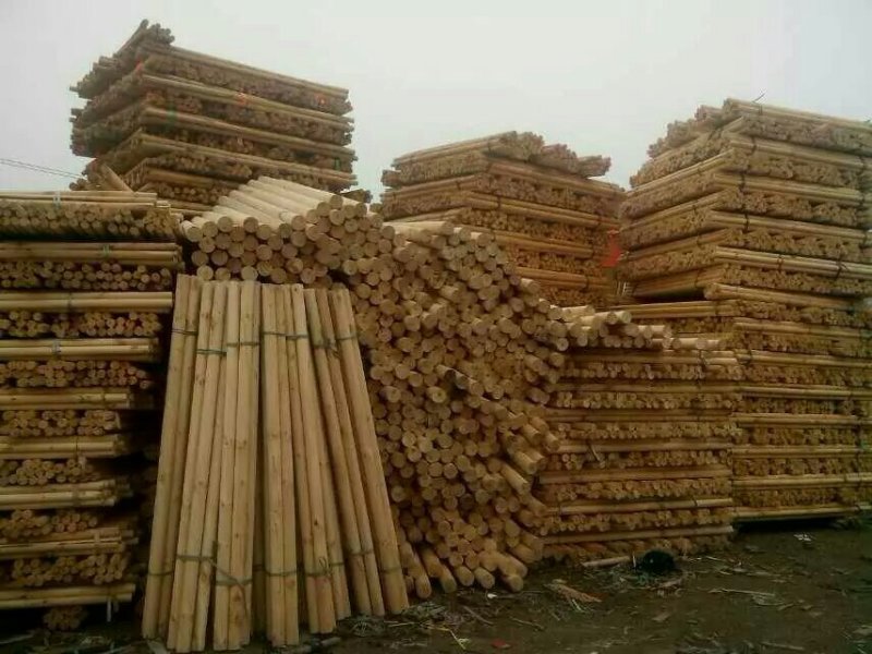园林苗木支撑架杆
