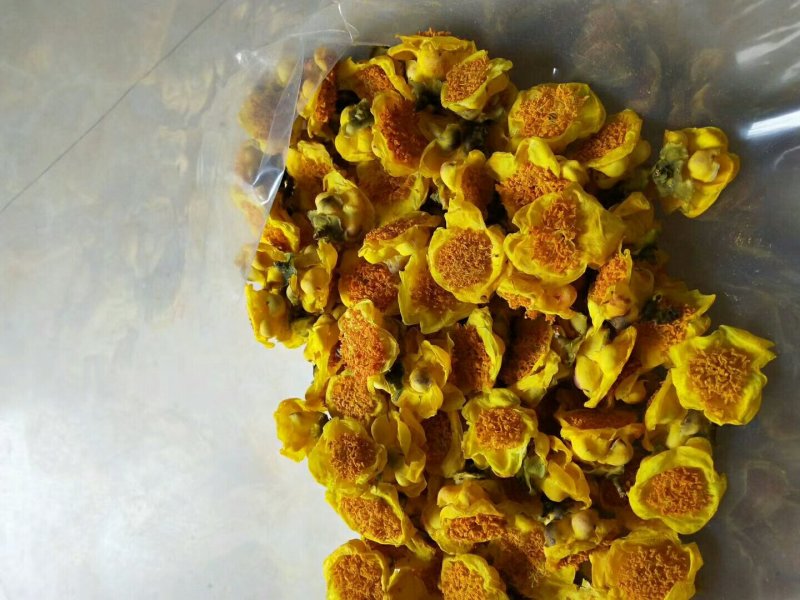 金花茶烘干花450元1斤