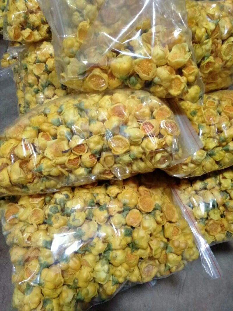 金花茶广西防城港冻干花自产深加工