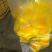 金花茶广西防城港冻干花自产深加工