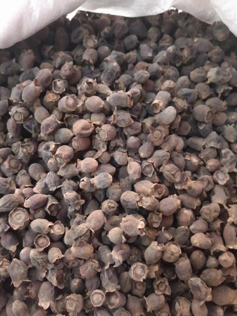 山稔子干（南方的纯野生货）