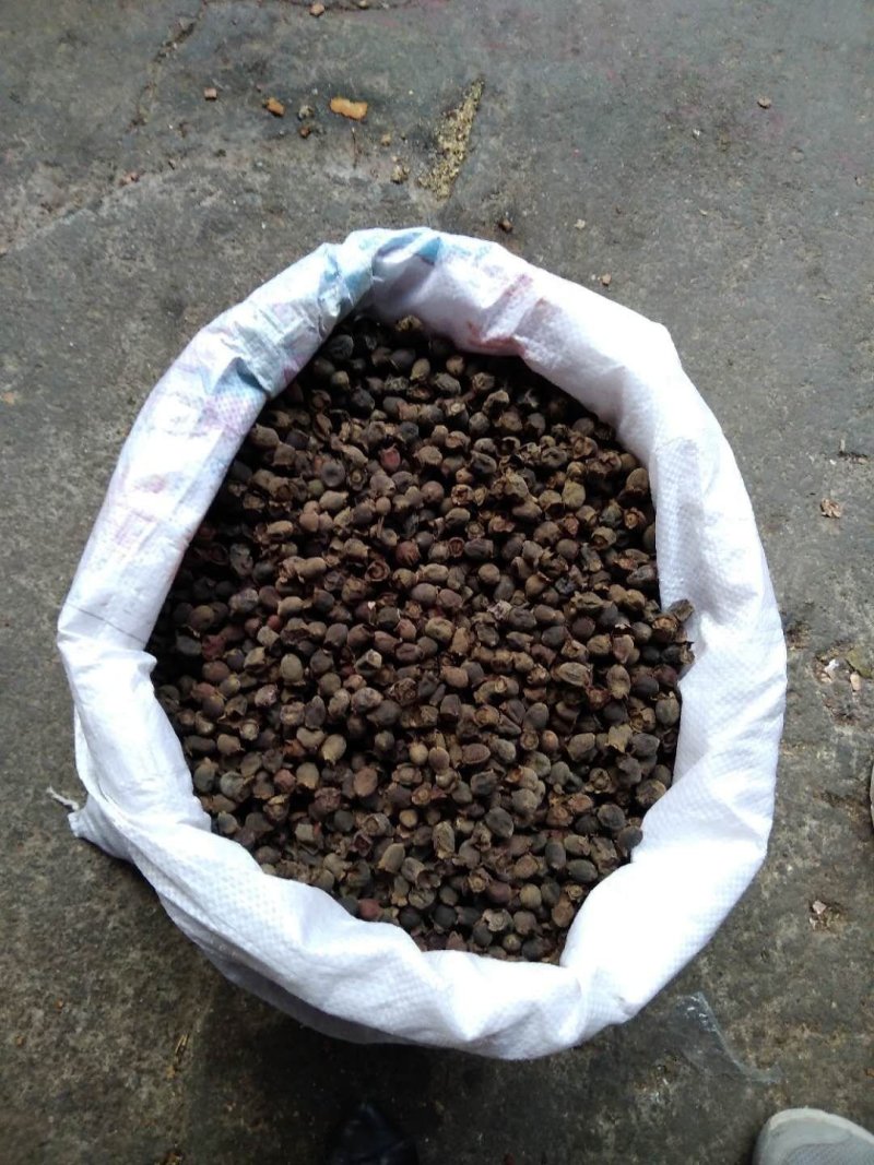 山稔子干（南方的纯野生货）