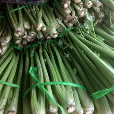 西芹芹菜批发大量现货品质保障欢迎批发