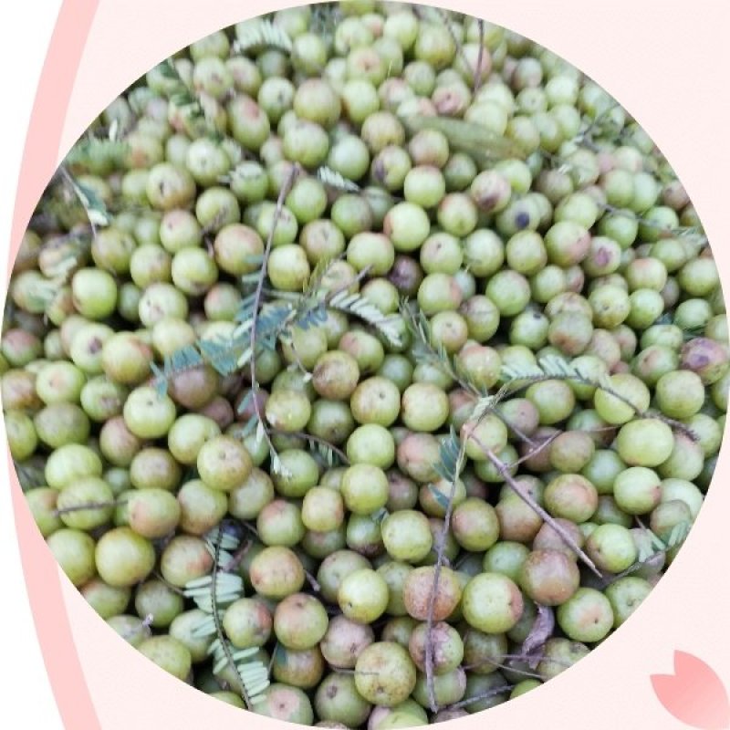 蜂蜜橄榄
