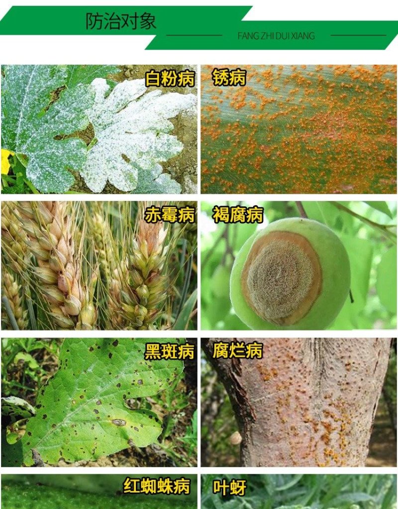 基得45%石硫合剂叶螨蚧壳虫锈壁虱杀螨剂果树清园
