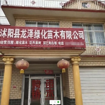 玉兰可视频看货选货一亩田线上交易下单购买包邮发货
