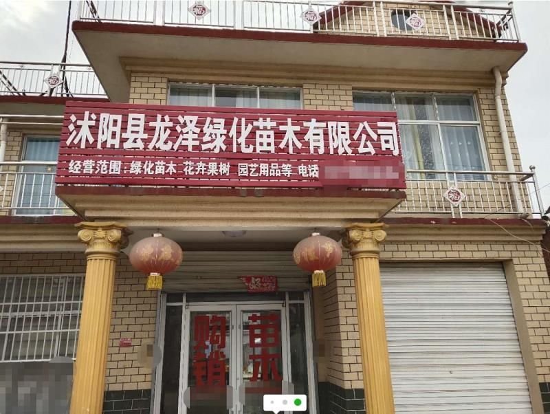 玉兰树可视频看货选货一亩田线上交易下单购买