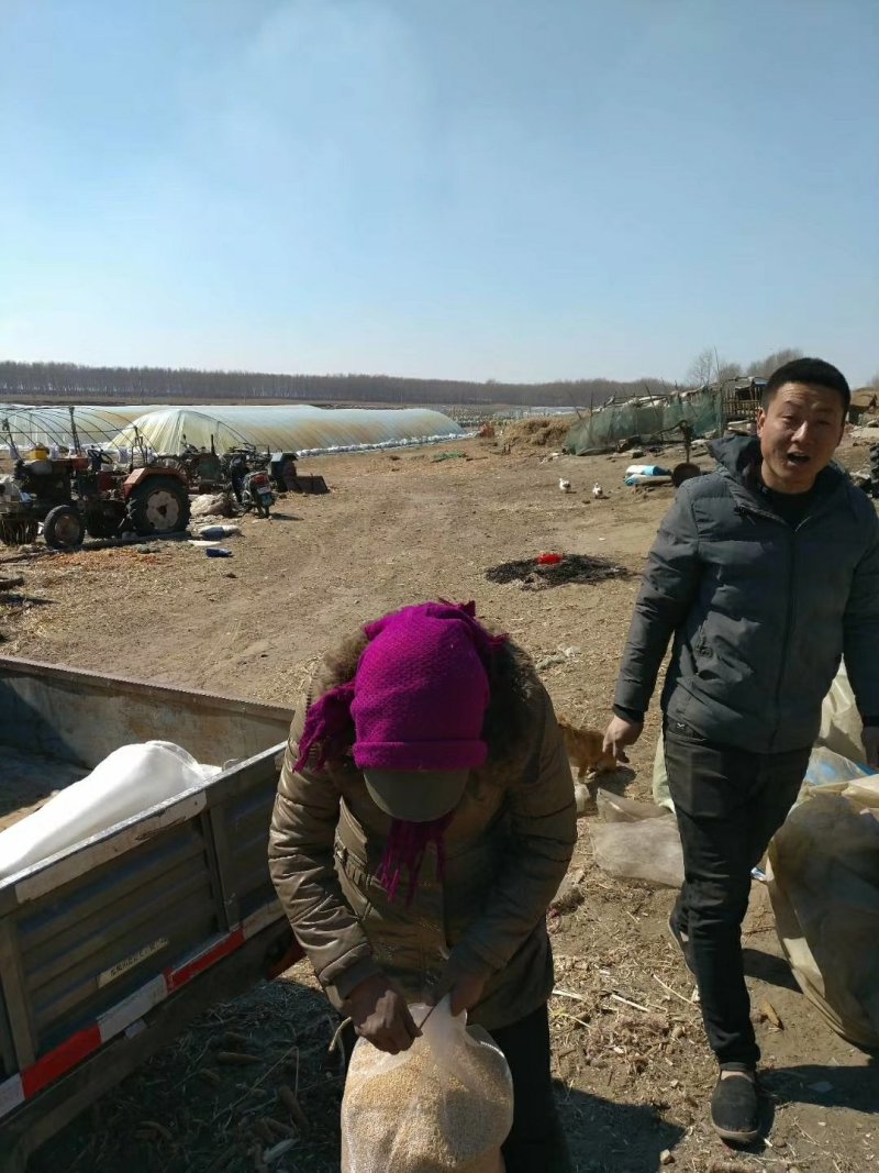 稻花香胚芽米，自己基地种植自己的加工厂。5公斤。