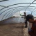 稻花香胚芽米，自己基地种植自己的加工厂。5公斤。