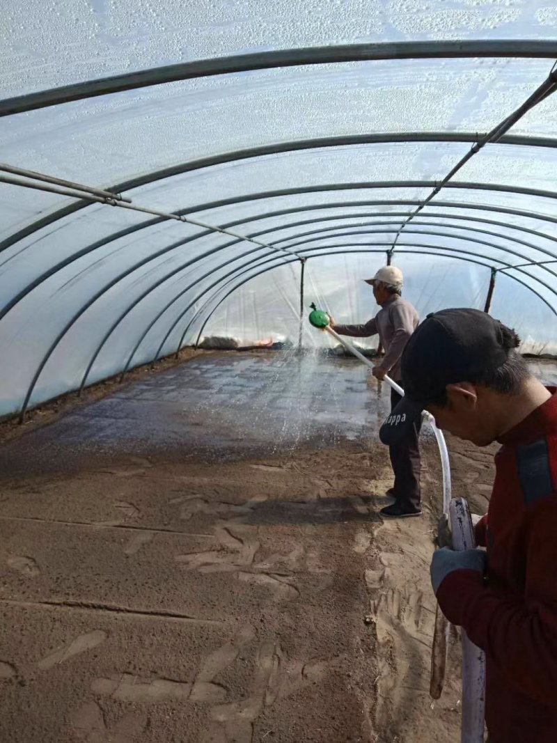 稻花香胚芽米，自己基地种植自己的加工厂。5公斤。