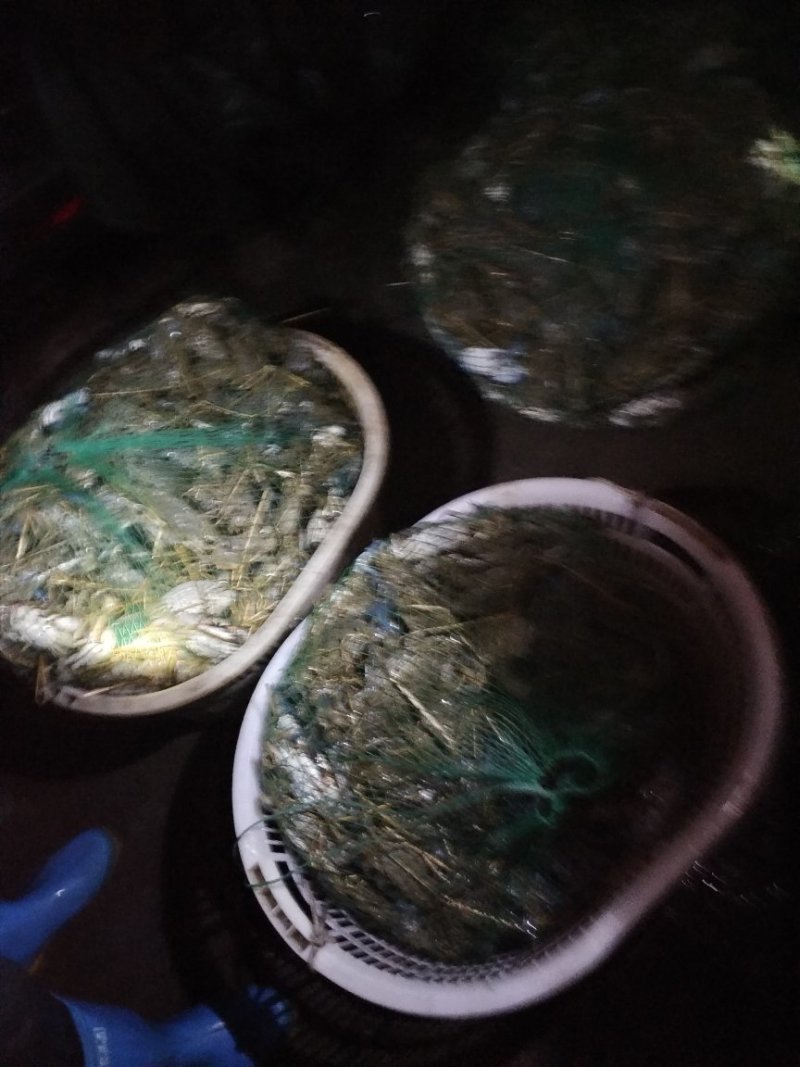 花蟹