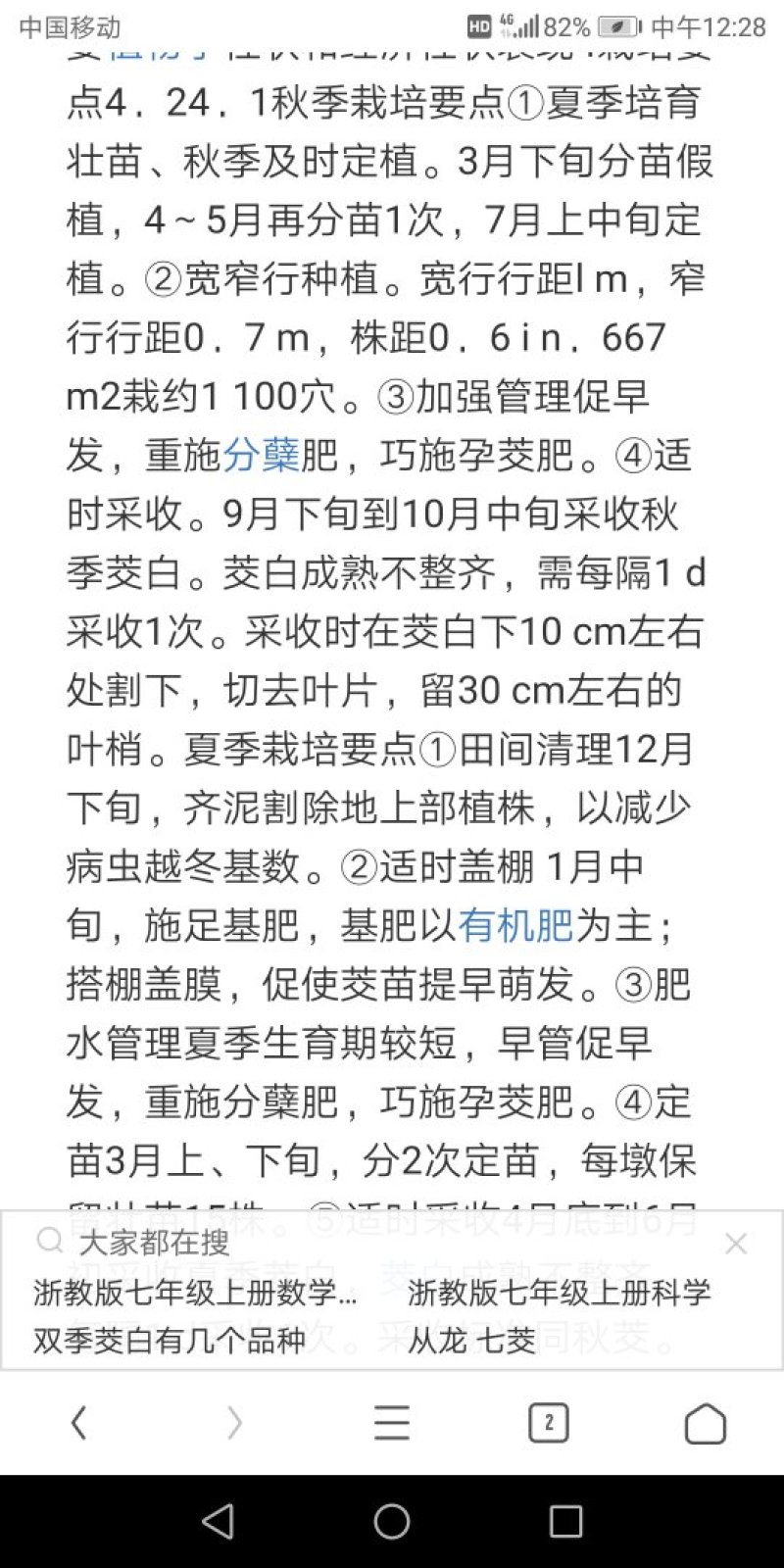 双季茭白苗